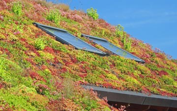 Gupworthy living roof systems